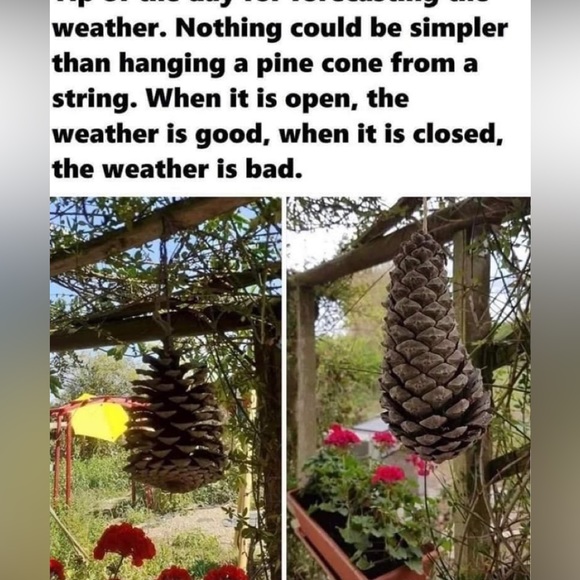 BUNDLE & SAVE!!! Every Day Is A Gift! Live Love Laugh! Happy Poshing - Picture 7 of 7